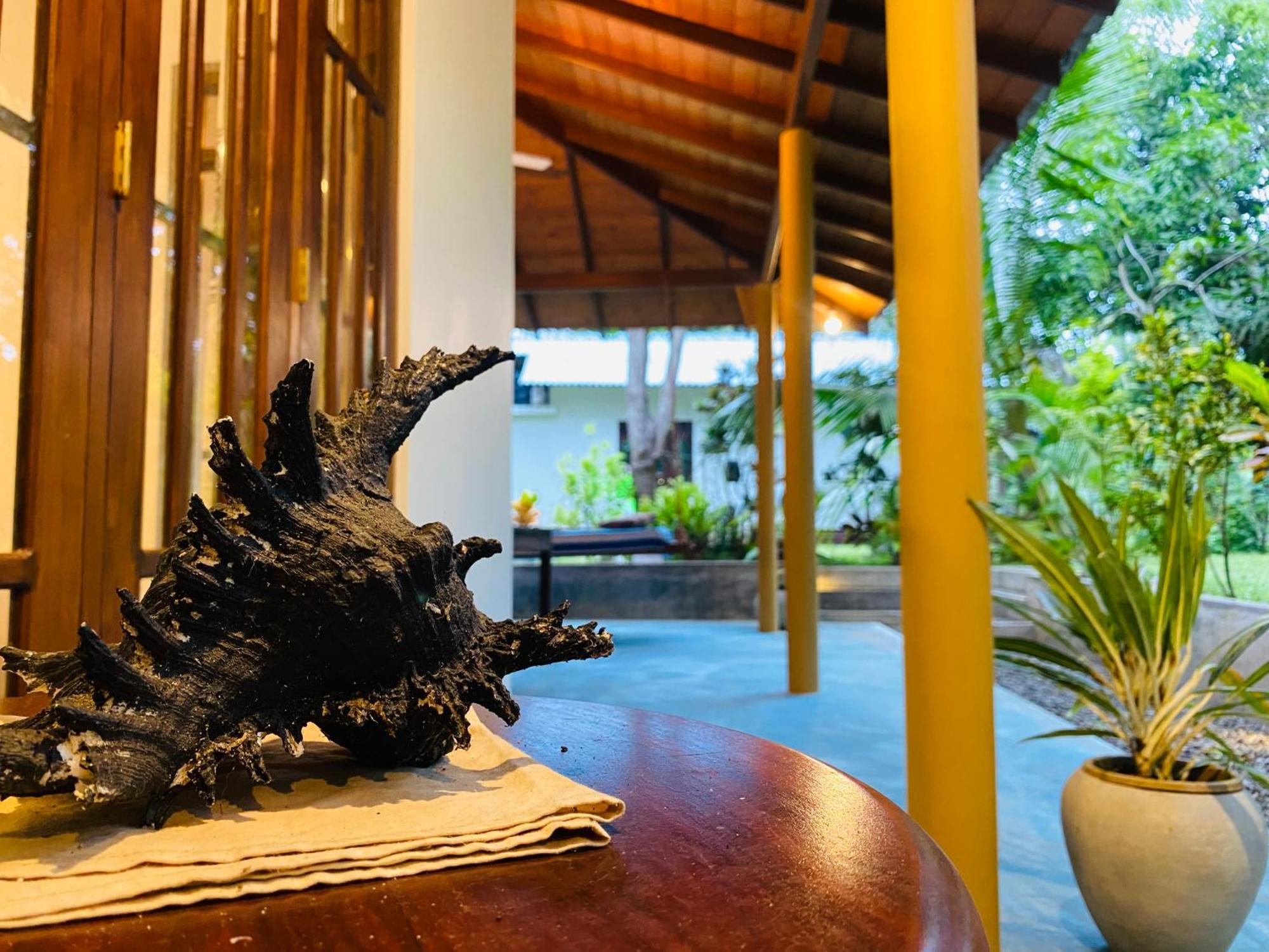 See Turtle Villa 탕갈레 외부 사진